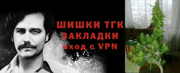 прущие грибы Балабаново