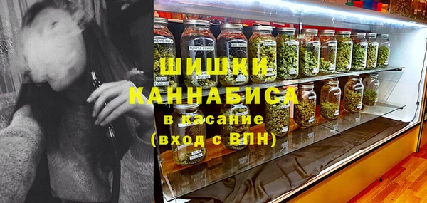 прущие грибы Балабаново