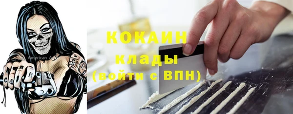 прущие грибы Балабаново