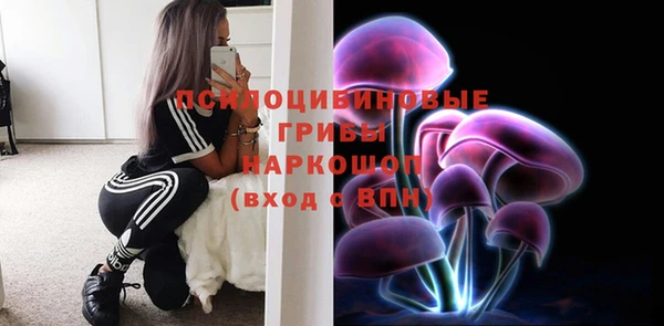прущие грибы Балабаново