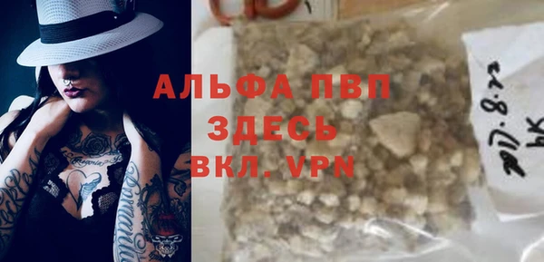 прущие грибы Балабаново
