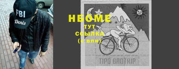 прущие грибы Балабаново