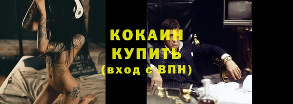 прущие грибы Балабаново
