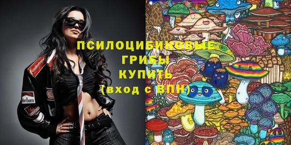 прущие грибы Балабаново