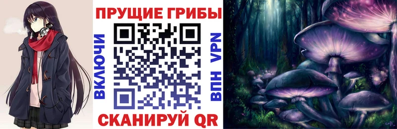 где продают наркотики  мега онион  Псилоцибиновые грибы Cubensis  Усмань 